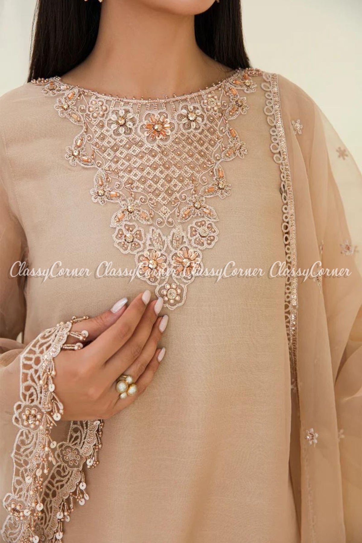 Beige Chiffon Embroidered Pakistani Suit